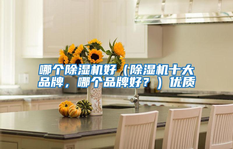 哪個(gè)除濕機(jī)好（除濕機(jī)十大品牌，哪個(gè)品牌好？）優(yōu)質(zhì)