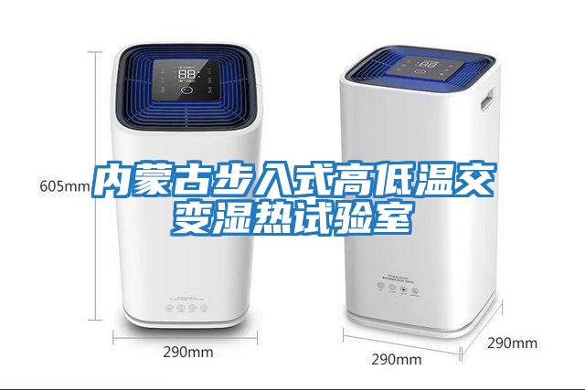 內蒙古步入式高低溫交變濕熱試驗室
