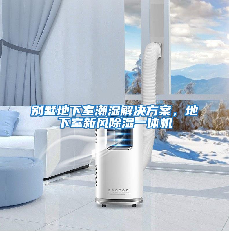 別墅地下室潮濕解決方案，地下室新風(fēng)除濕一體機