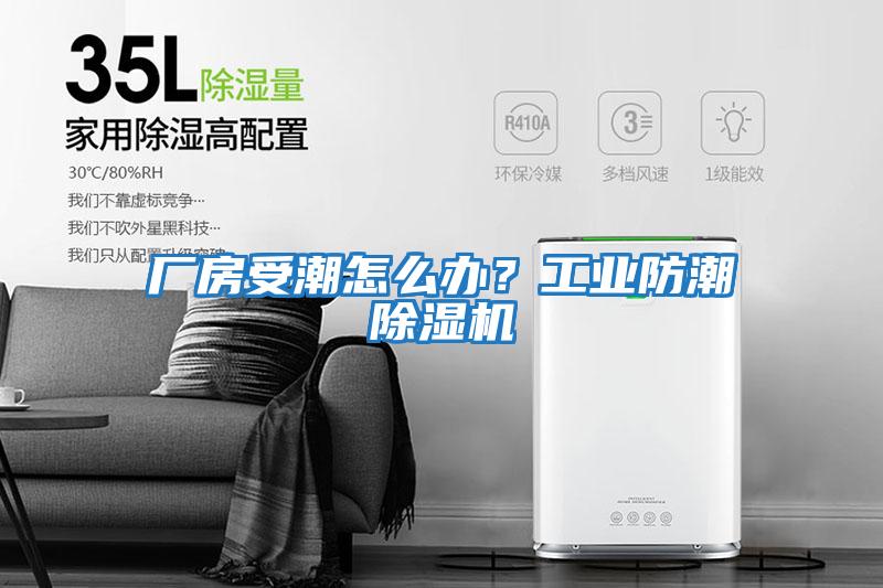 廠房受潮怎么辦？工業(yè)防潮除濕機(jī)
