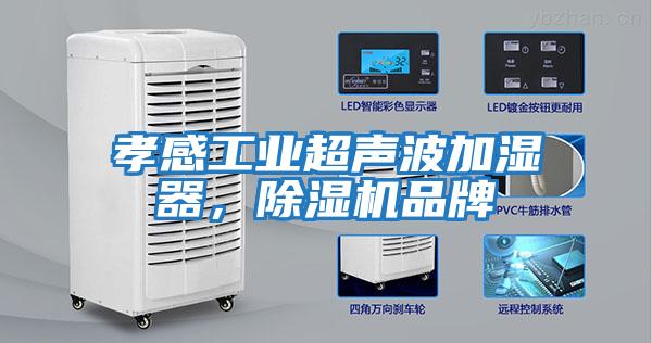 孝感工業超聲波加濕器,除濕機品牌