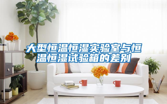大型恒溫恒濕實(shí)驗室與恒溫恒濕試驗箱的差別