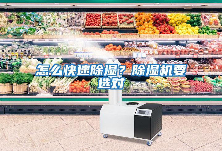 怎么快速除濕?除濕機(jī)要選對