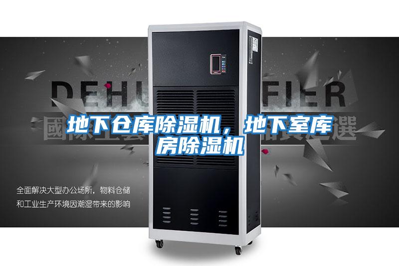 地下倉(cāng)庫(kù)除濕機(jī)，地下室?guī)旆砍凉駲C(jī)
