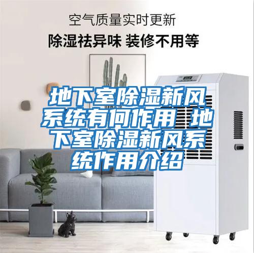 地下室除濕新風系統有何作用 地下室除濕新風系統作用介紹