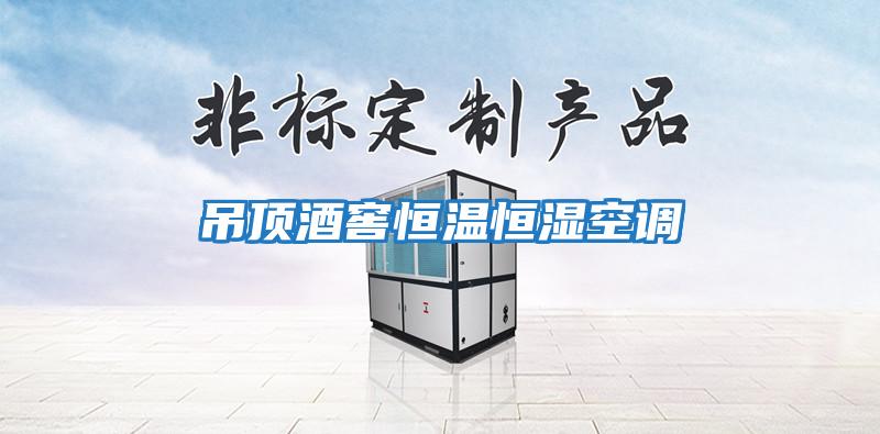 吊頂酒窖恒溫恒濕空調