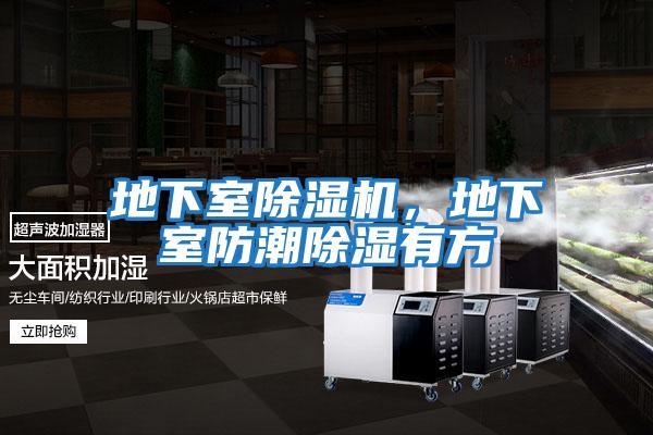 地下室除濕機，地下室防潮除濕有方