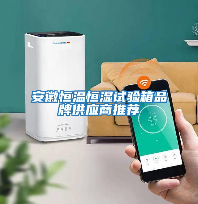 安徽恒溫恒濕試驗箱品牌供應(yīng)商推薦