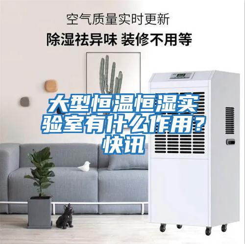 大型恒溫恒濕實驗室有什么作用？快訊