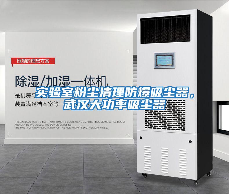 實驗室粉塵清理防爆吸塵器，武漢大功率吸塵器