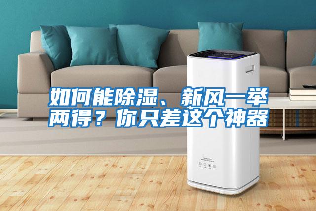 如何能除濕、新風一舉兩得？你只差這個神器