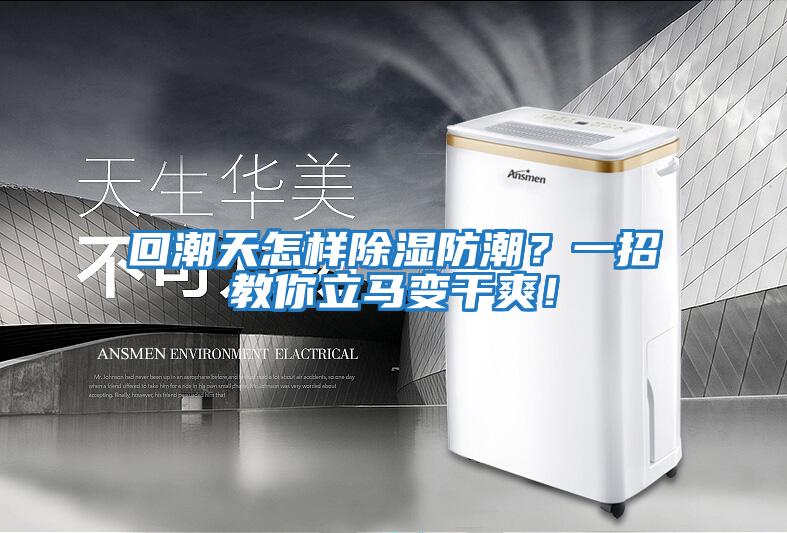 回潮天怎樣除濕防潮?一招教你立馬變干爽!