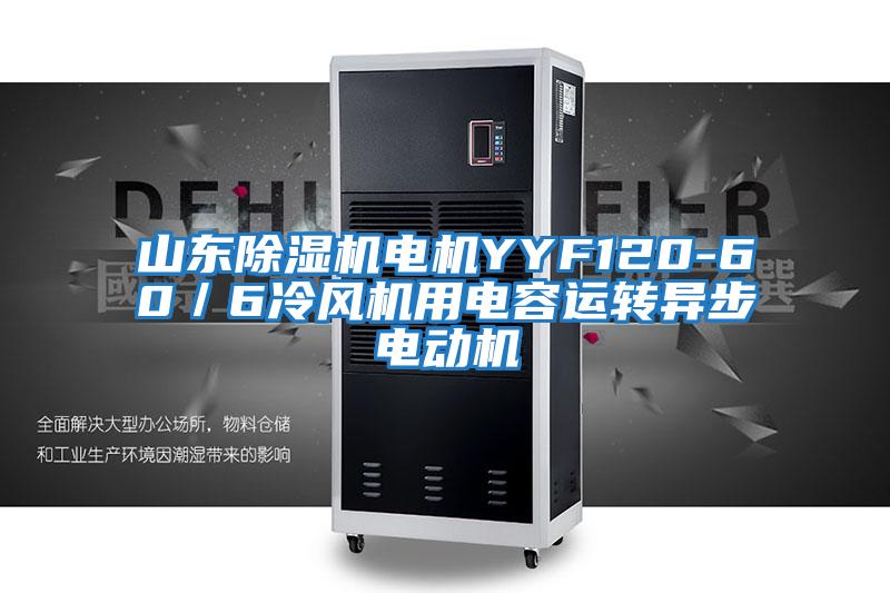 山東除濕機(jī)電機(jī)YYF120-60／6冷風(fēng)機(jī)用電容運轉(zhuǎn)異步電動機(jī)
