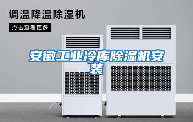 安徽工業冷庫除濕機安裝