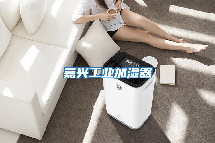 嘉興工業加濕器