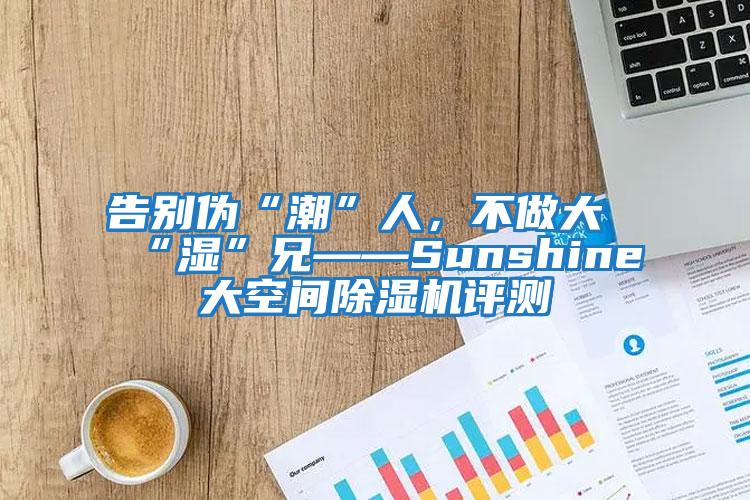 告別偽“潮”人，不做大“濕”兄——Sunshine大空間除濕機評測