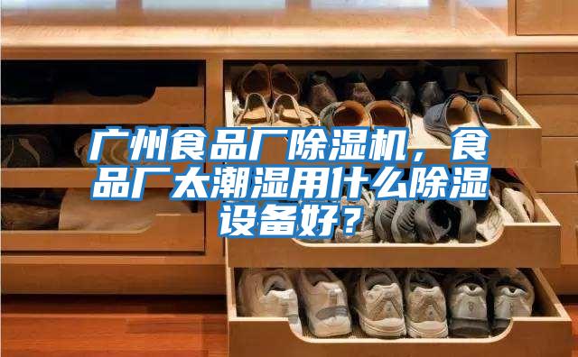 廣州食品廠除濕機，食品廠太潮濕用什么除濕設備好？