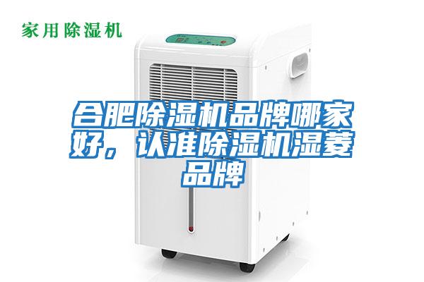 合肥除濕機品牌哪家好，認準除濕機濕菱品牌