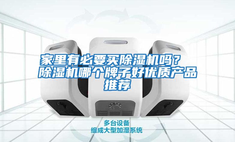 家里有必要買除濕機嗎？ 除濕機哪個牌子好優質產品推薦