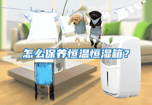 怎么保養恒溫恒濕箱?