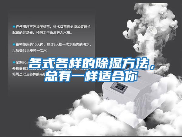 各式各樣的除濕方法，總有一樣適合你
