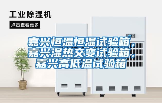 嘉興恒溫恒濕試驗箱，嘉興濕熱交變試驗箱，嘉興高低溫試驗箱
