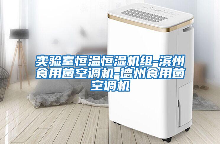 實驗室恒溫恒濕機組-濱州食用菌空調機-德州食用菌空調機