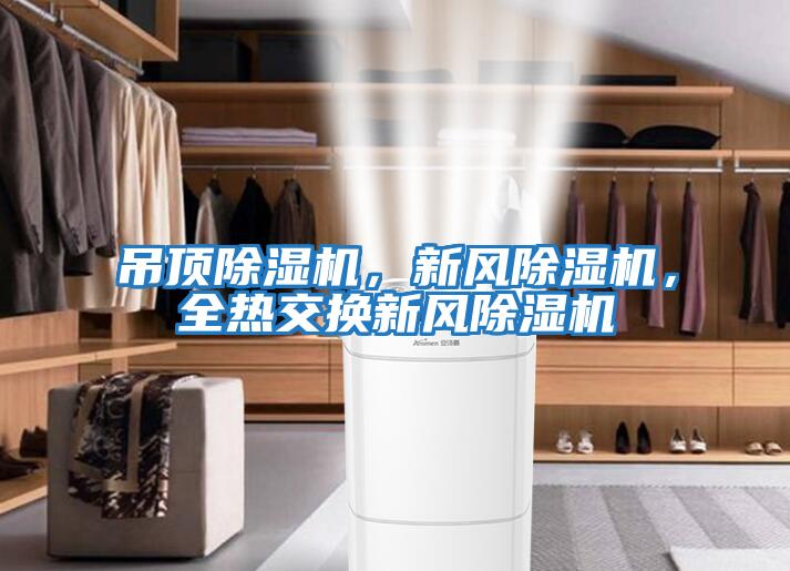 吊頂除濕機，新風(fēng)除濕機，全熱交換新風(fēng)除濕機