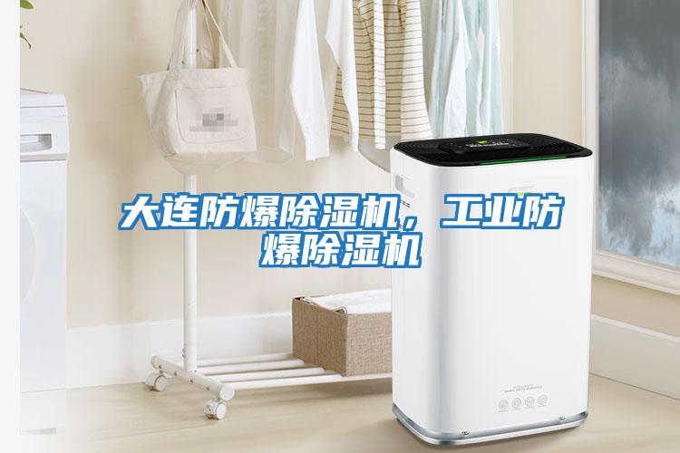 大連防爆除濕機，工業防爆除濕機