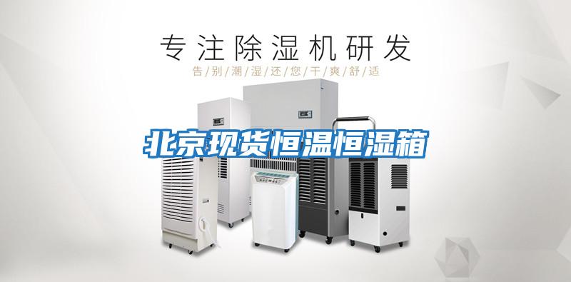 北京現貨恒溫恒濕箱