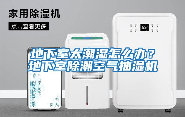 地下室太潮濕怎么辦？地下室除潮空氣抽濕機