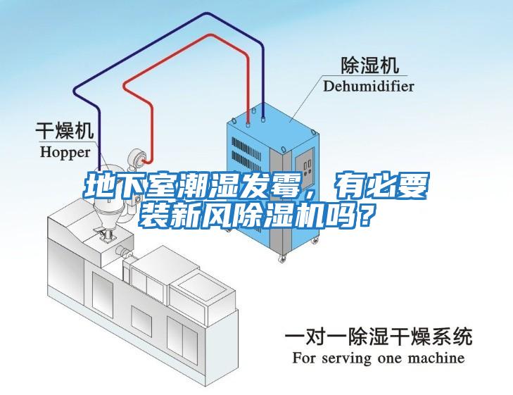 地下室潮濕發(fā)霉，有必要裝新風(fēng)除濕機嗎？