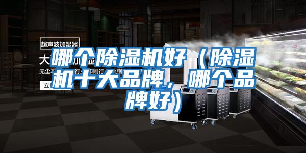 哪個(gè)除濕機(jī)好（除濕機(jī)十大品牌，哪個(gè)品牌好）
