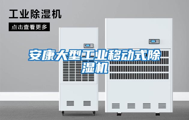 安康大型工業移動式除濕機