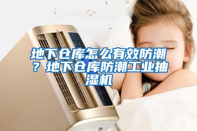 地下倉庫怎么有效防潮？地下倉庫防潮工業(yè)抽濕機