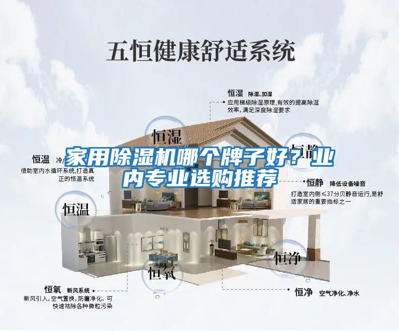 家用除濕機哪個牌子好？業內專業選購推薦