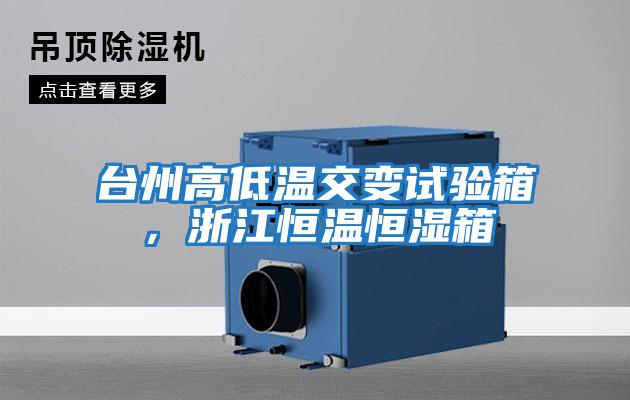 臺州高低溫交變試驗箱，浙江恒溫恒濕箱