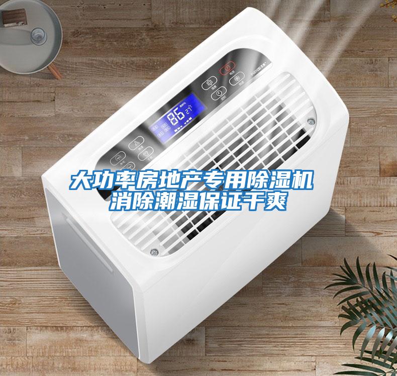 大功率房地產專用除濕機 消除潮濕保證干爽