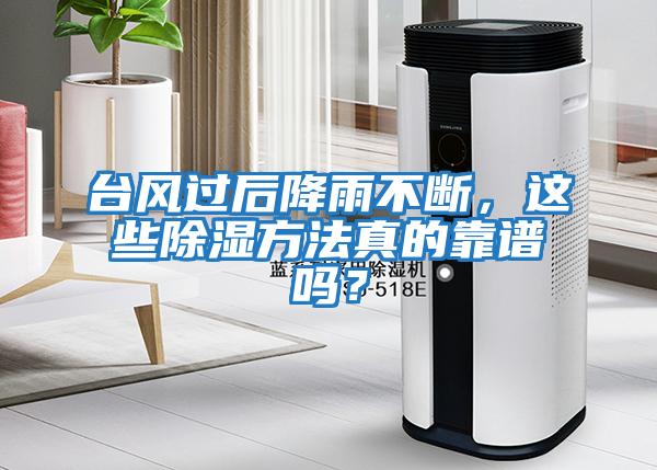 臺(tái)風(fēng)過(guò)后降雨不斷，這些除濕方法真的靠譜嗎？