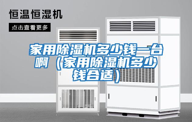 家用除濕機多少錢一臺?。矣贸凉駲C多少錢合適）
