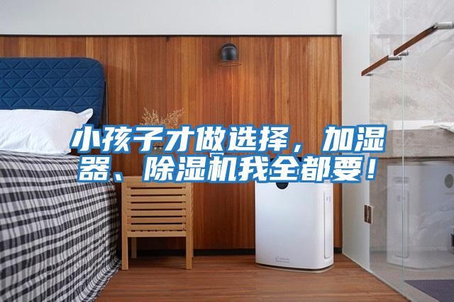 小孩子才做選擇，加濕器、除濕機我全都要！