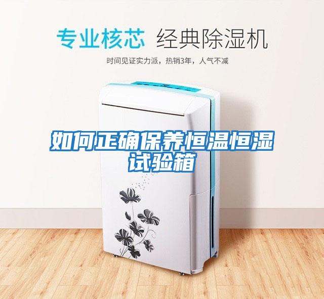 如何正確保養恒溫恒濕試驗箱