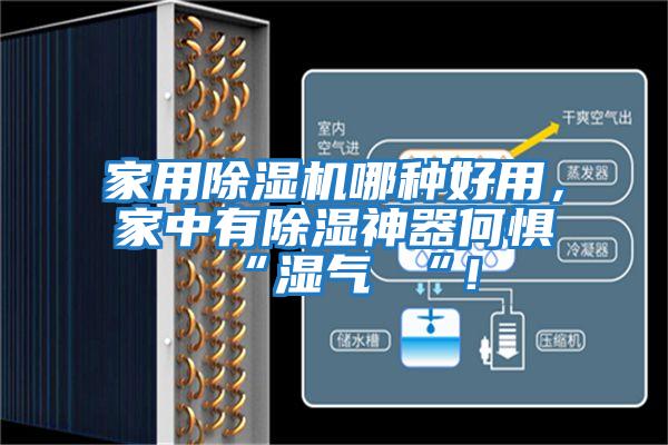 家用除濕機(jī)哪種好用，家中有除濕神器何懼 “濕氣 “！