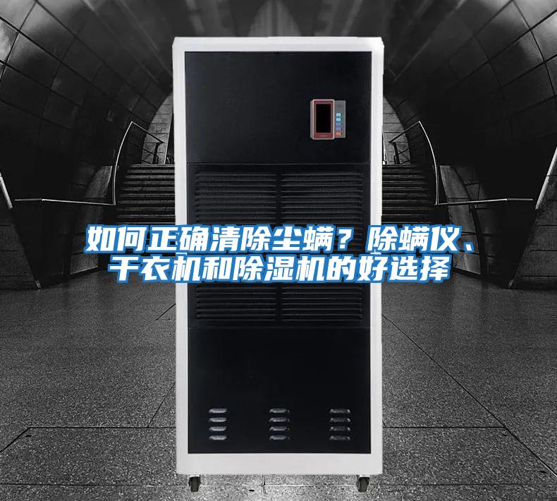 如何正確清除塵螨？除螨儀、干衣機和除濕機的好選擇