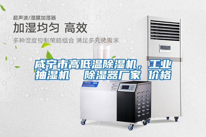 咸寧市高低溫除濕機，工業抽濕機  除濕器廠家 價格