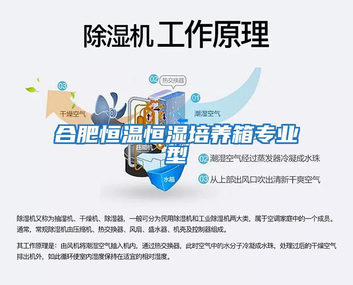 合肥恒溫恒濕培養箱專業型