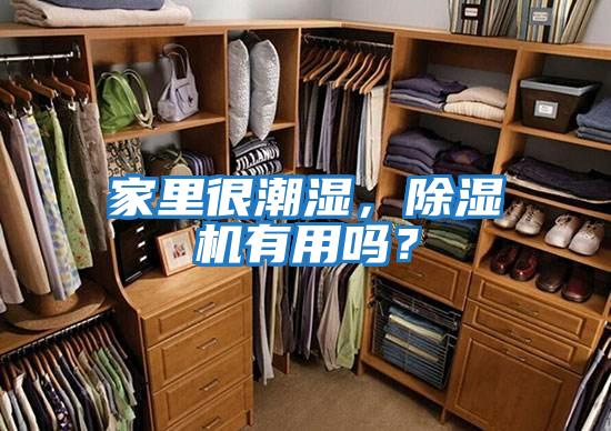 家里很潮濕，除濕機有用嗎？