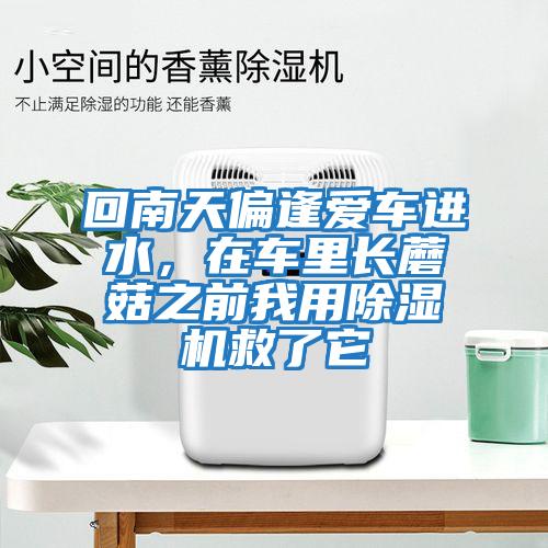 回南天偏逢愛車進水，在車?yán)镩L蘑菇之前我用除濕機救了它