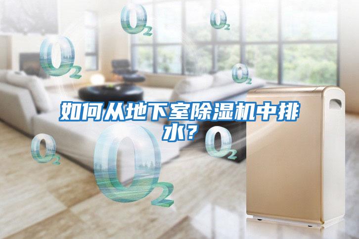 如何從地下室除濕機中排水?