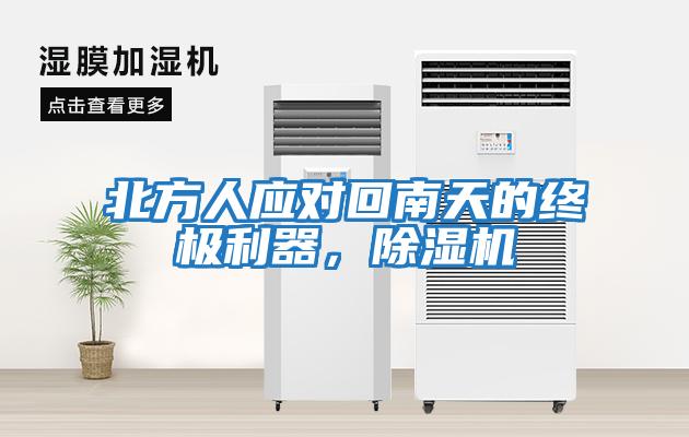 北方人應對回南天的終極利器，除濕機
